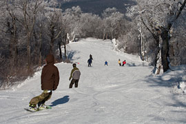 Belleayre Ski Trail